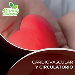 Cardiovascular y Circulación