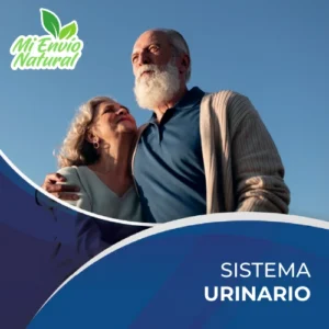 Sistema Urinario