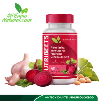 NUTRIBEETS